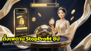 ตั้งเพดาน StopProfit ชิป